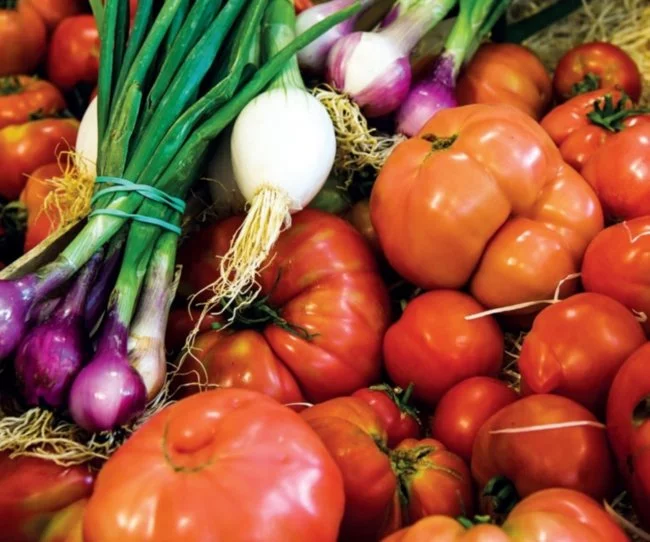 Actus Occitanie - %##23@