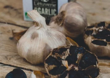 Made in Occitanie de l'été