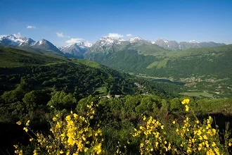 Actus Occitanie - %##23@