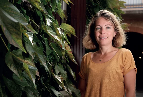 Actus Occitanie - %##23@