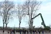 21 mars. Les travaux de l'A69 viennent de démarrer. Des opposants se rassemblent à Vendine, en Haute-Garonne, pour dénoncer l'abattage de platanes centenaires condamnés par le tracé. Figure de proue des « écureuils », Thomas Brail, fondateur du Groupement national de surveillance des arbres, s'est perché à plusieurs mètres de haut.