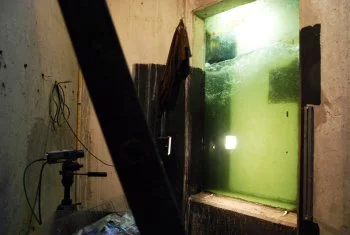 La passe à poisson. Observatoire pour l'étude des espèces aquatiques de la Garonne.