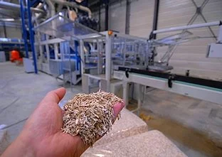 Agrofibre, nouvelle graine pour la filière du chanvre