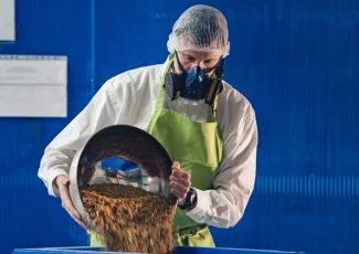 Filière insectes : à Toulouse, Agronutris change d'échelle et voit grand