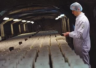 Le Roquefort veut s'inviter au salon de l'Agriculture