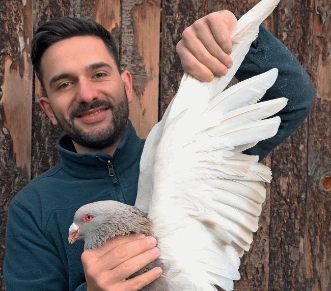 Actus Occitanie - %##23@