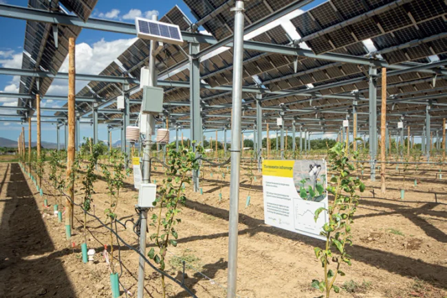 Actus Occitanie - %##23@