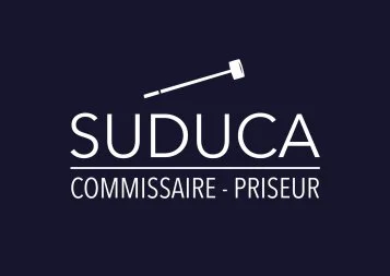JOURNEE D'EXPERTISE