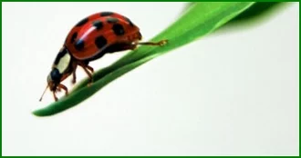 Actus Occitanie - %##23@