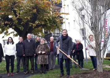 100 arbres plantés pour le centenaire de Toulouse Métropole Habitat
