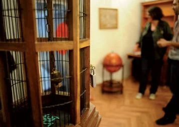 A Toulouse, les Escape Games rejouent la grande évasion