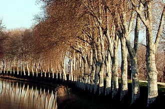 Actus Occitanie - %##23@