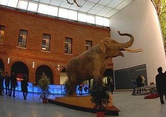 Tourisme : les sites toulousains à l'heure des comptes