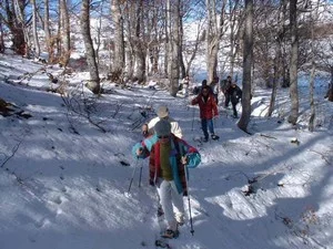 Actus Occitanie - %##23@