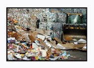 Des monticules de cartons récupérés par la société Onyx.