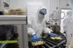En 2017 Crusta'C vise à optimiser son unité de production de « crevettes à poëler » ouverte il y a quelques mois.