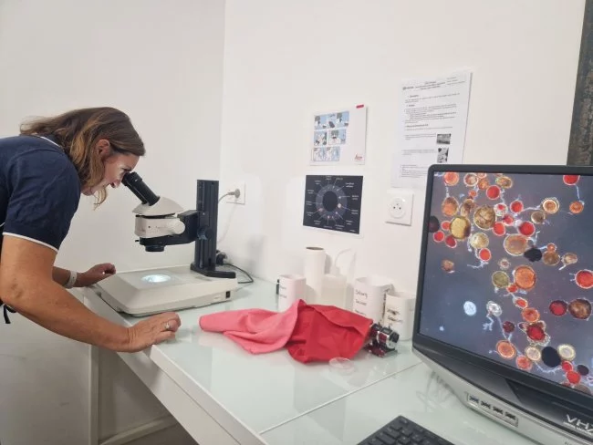 Actus Occitanie - %##23@