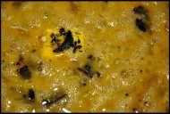 La meilleure façon de déguster la truffe est de l'émincer finement sur un plat au moment de servir. Les pelures sont particulièrement conseillées pour les omelettes et les brouillades. L'association salade et truffe est aussi une valeur sûre.