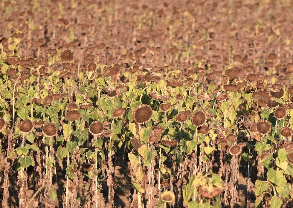 Agriculture. Dans le Sud-Ouest, le plan d'un milliard d'euros qui ne convainc pas