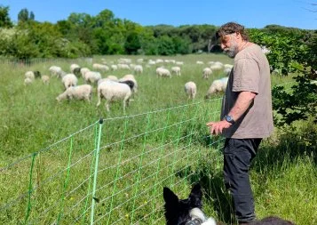 En Occitanie, qui sont les bergers des villes ?