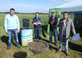 Florentin. Le lin oléagineux d'hiver gagne du terrain dans le Tarn