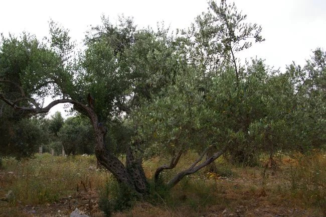 Actus Occitanie - %##23@