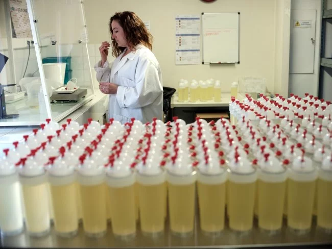 Actus Occitanie - %##23@