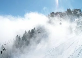Avis de « Grand Blanc » dans les Pyrénées