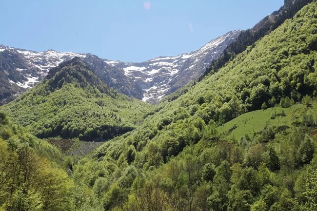 Actus Occitanie - %##23@