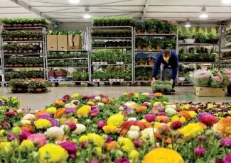 Miné par les dettes, le MIN de Toulouse est au bord de la faillite