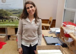 Les ânes d'Autan repris par Myriam Dereix à Mazamet