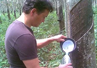 Depuis Toulouse, France Biotex invente le sommeil 100% nature