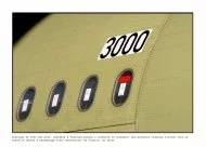 Le 300e A320 sort des usines d'Airbus. Si la chimie souffre, l'aéronautique elle, se porte encore comme un charme...