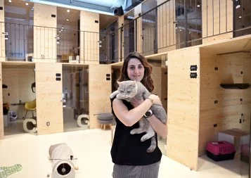 Le Georges Cat, premier palace pour chats près de Toulouse