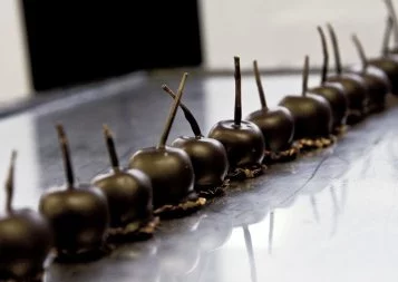 Un chocolat nommé désir