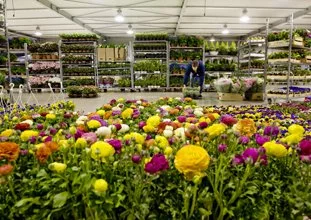 Le MIN de Toulouse affiche ses nouvelles ambitions 