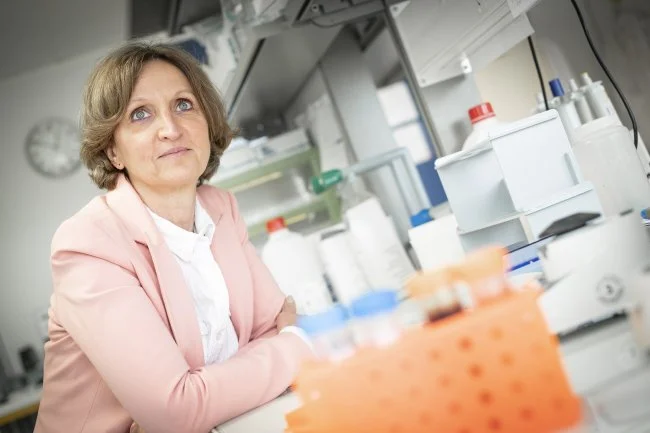 Actus Occitanie - %##23@