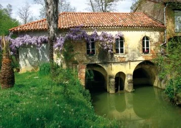 Depuis Toulouse, Tables & auberges de France veut conforter son indépendance