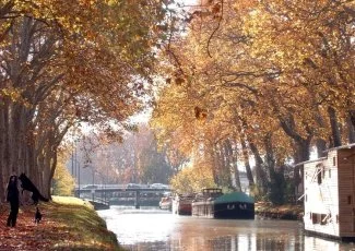 Un club d'entreprises pour replanter la forêt du canal du Midi