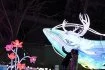 21 décembre. Le Festival des lanternes revient à Montauban pour la deuxième année consécutive. L'an dernier, plus de 320.000 visiteurs étaient venus admirer les décors, aussi étonnants que féériques, des artisans métalliers, peintres et couturiers.