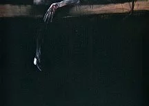 Vladimir Velickovic, l'être et le néant