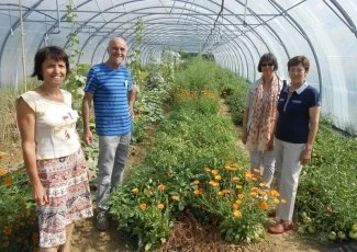 Gaillac. Inauguration de l'Essor maraîcher, la couveuse bio de Tarn & Dadou