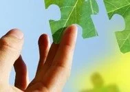 Du changement climatique à la stratégie d'investissement, le 28 février