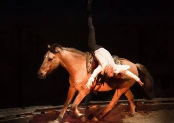 Cirque et Rue : Zusammen