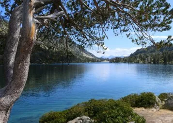 Quel département occitan a créé le plus d'emplois en France ?