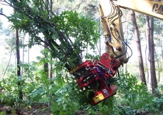 Le projet Gaspyr veut mobiliser 148.000 tonnes de bois énergie d'ici trois ans