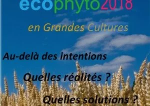 Les produits phytosanitaires tiennent colloque à l'ENSAT, le 23 février
