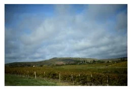 Vue sur la mine d'or à ciel ouvert de Salsigne est une mine d'or fermée en 2004 qui se situe sur les communes de Salsigne et de Villanière à 15 km au nord de Carcassonne dans le massif de la Montagne Noire, dans le département de l'Aude et la région Occitanie. Elle a été la plus importante mine d'or d'Europe Occidentale et la dernière de France métropolitaine.