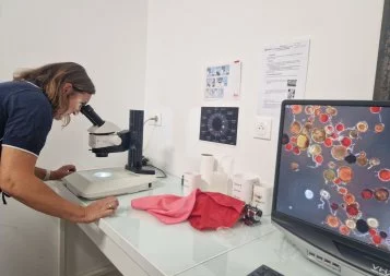 Amoterra pousse sur les racines de l'entreprise montpelliéraine Mycea