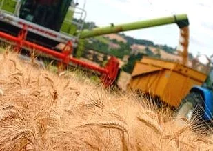 Nidera récolte les fruits d'une année record